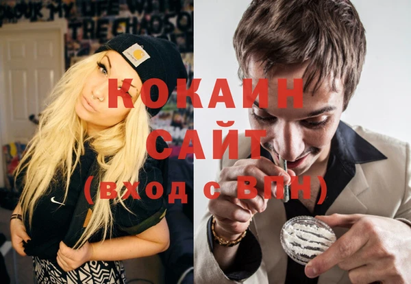 ешки Ельня