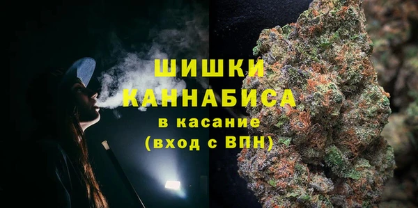 ешки Ельня