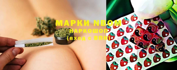 ешки Ельня