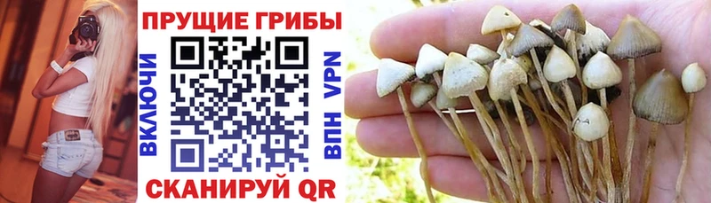 Галлюциногенные грибы мицелий  Купить где  Боготол 